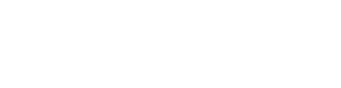 Cloudata Management